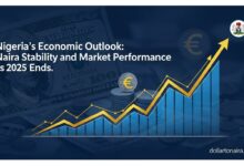 Nigeria’s Economic Outlook: Naira Stability and Market Performance as 2025 Ends